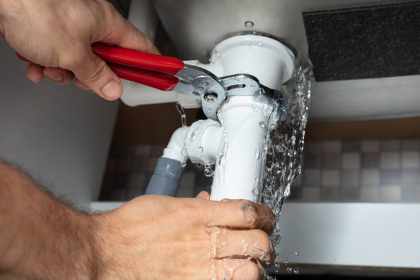  River Rouge, MI Water damage restoration Pros