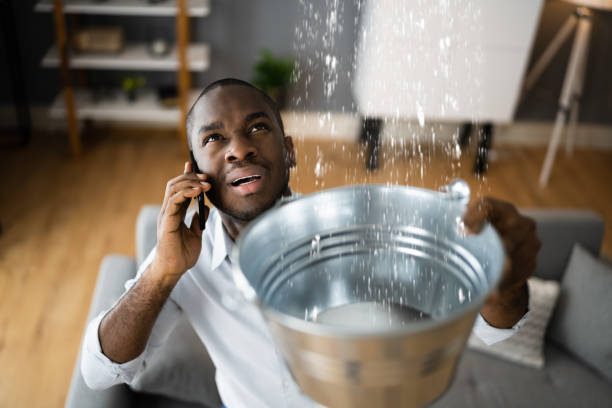 Best Water damage restoration company  in River Rouge, MI