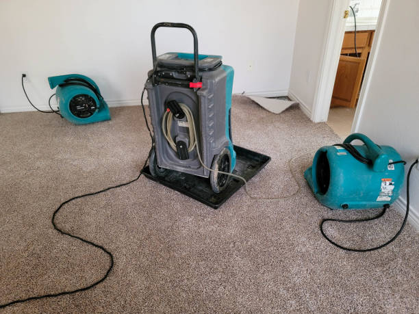 Best Professional water damage repair  in River Rouge, MI