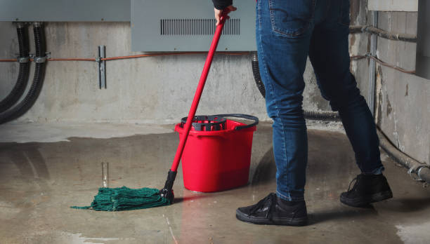 Best Residential water damage restoration  in River Rouge, MI