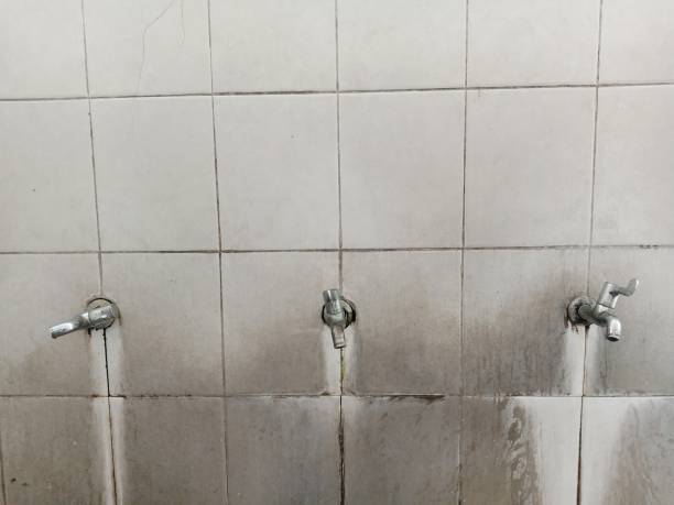 Best Water damage restoration insurance claims  in River Rouge, MI
