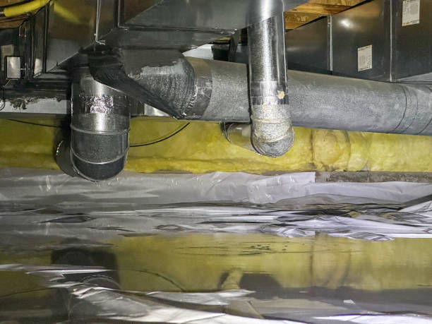 Best Flooded house restoration  in River Rouge, MI