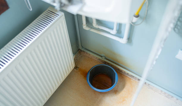 Best Ceiling water damage repair  in River Rouge, MI
